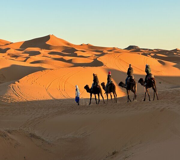 Desert Morocco Tour 3 Days 2 Nights Starts In Marrakech And Ends In Fes