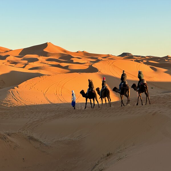 Desert Morocco Tour 3 Days 2 Nights Starts In Marrakech And Ends In Fes