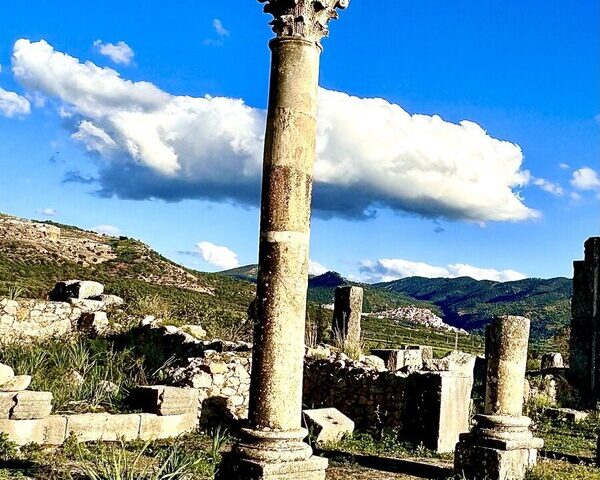 Day Trip ~ Fes to Volubilis and Meknes