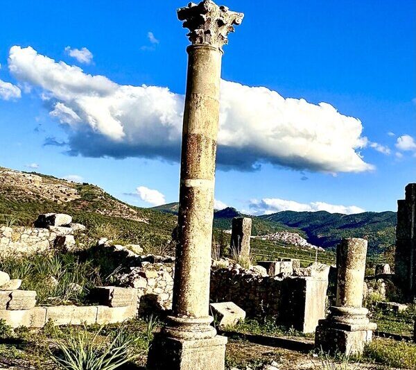 Day Trip ~ Fes to Volubilis and Meknes