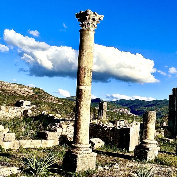 Day Trip ~ Fes to Volubilis and Meknes
