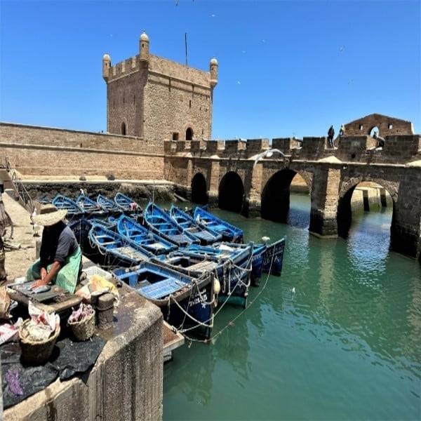 Day Trip ~ Marrakech to Essaouira