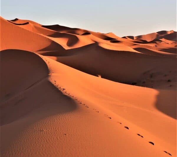 Ideal Morocco Tour 8 Days 7 Nights -Roundtrip From  Marrakech