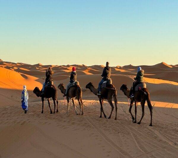 Fun Morocco Tour 6 Days 5 Nights  Starts  From  Marrakech Ends in Fes