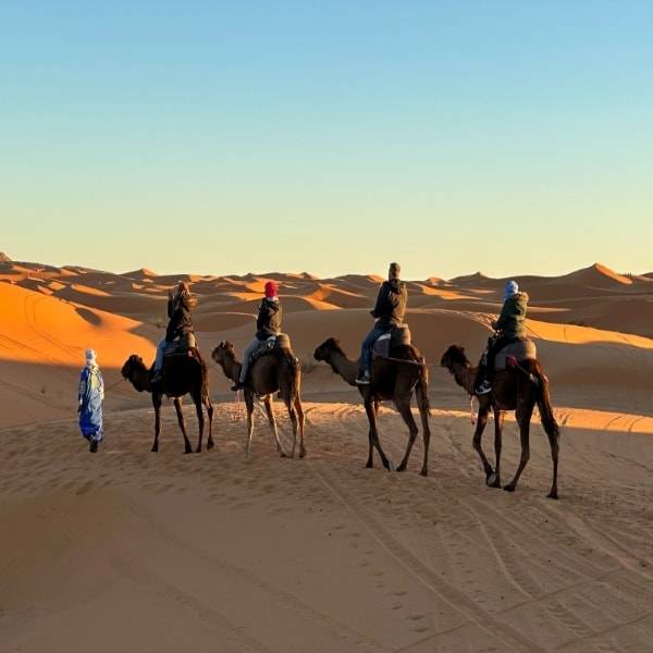 Fun Morocco Tour 6 Days 5 Nights  Starts  From  Marrakech Ends in Fes