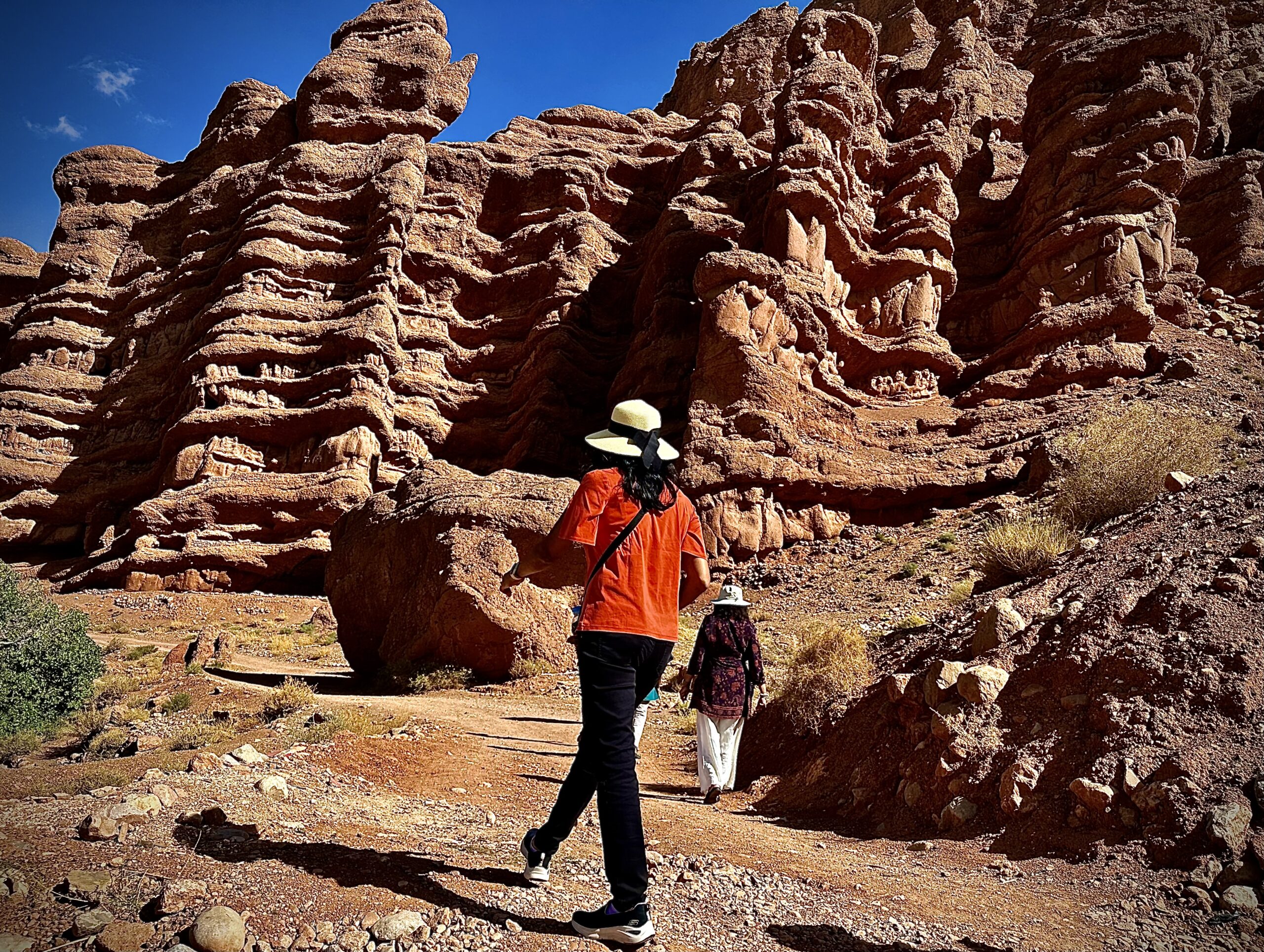 Travel with experts