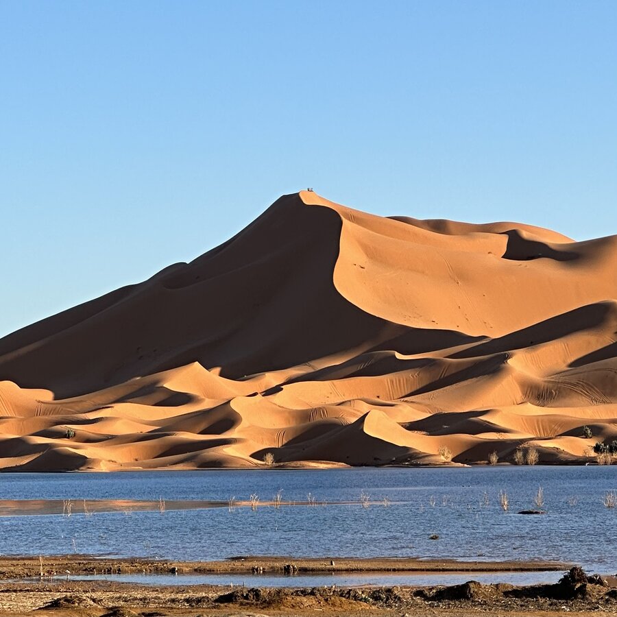 New Distination Sahara