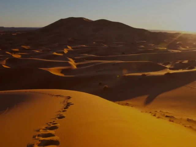 Top Trips in Morocco: Experience the Magic of Holidays in Morocco